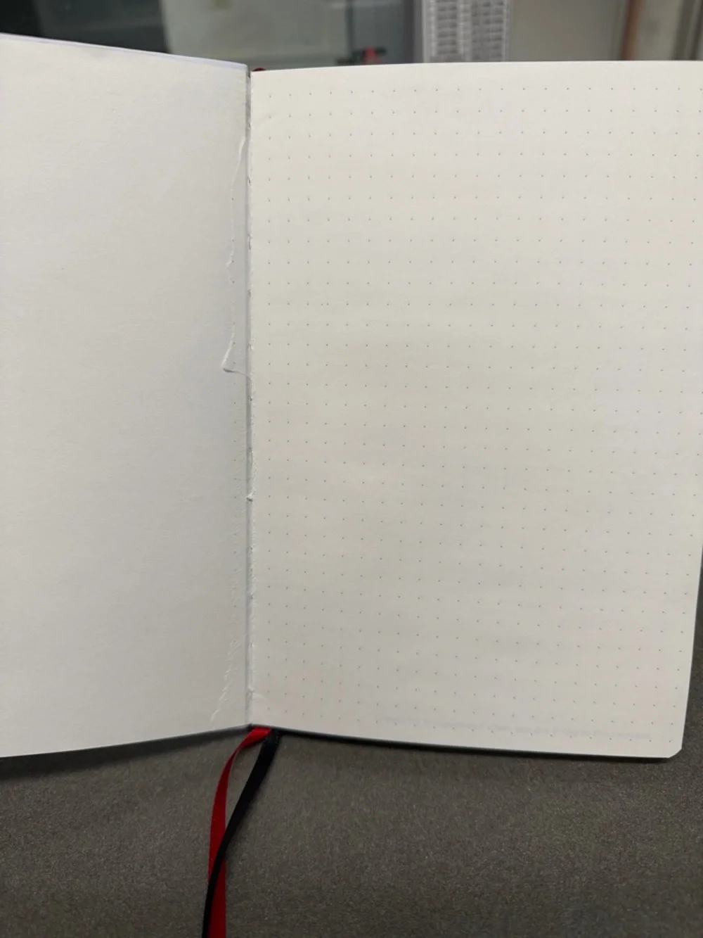Lululemon Membership Bullet Journal